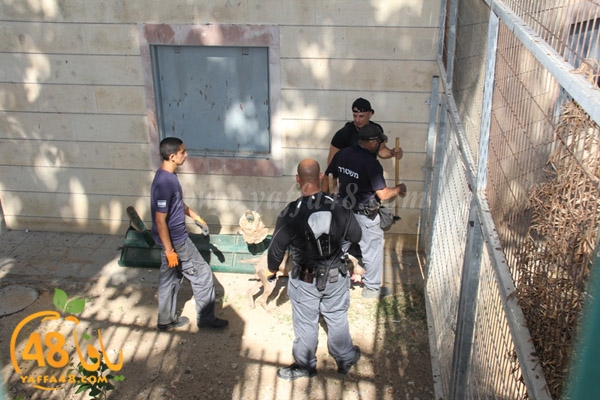 police shamelajs (5).JPG